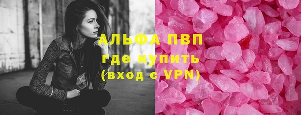 сатива Аркадак