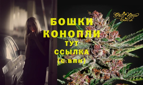 сатива Аркадак