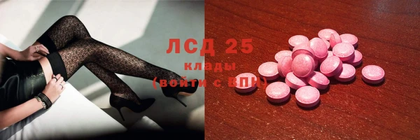 сатива Аркадак