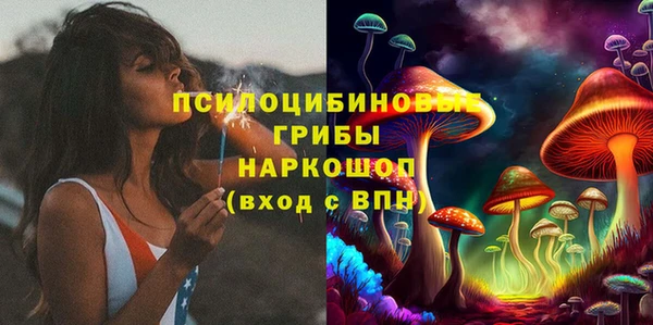 ГАЛЛЮЦИНОГЕННЫЕ ГРИБЫ Армянск
