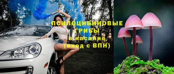 ГАЛЛЮЦИНОГЕННЫЕ ГРИБЫ Армянск