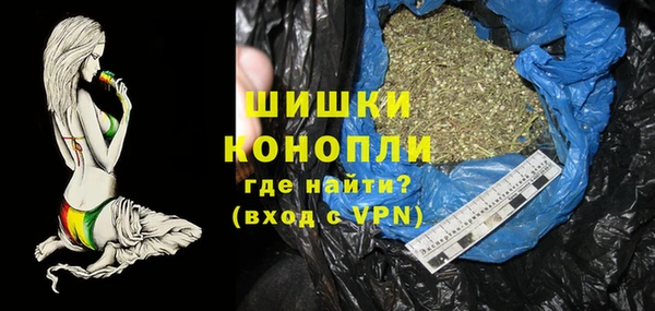 сатива Аркадак