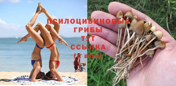 ГАЛЛЮЦИНОГЕННЫЕ ГРИБЫ Армянск