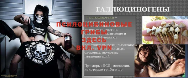 сатива Аркадак