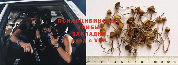ГАЛЛЮЦИНОГЕННЫЕ ГРИБЫ Армянск