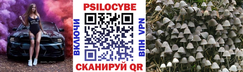 Купить закладки  Елабуга  Псилоцибиновые грибы GOLDEN TEACHER 